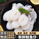 海鮮鮮活小墨魚(yú)烏賊八爪魚(yú)章魚(yú)魷魚(yú)新鮮墨魚(yú)仔生鮮 大號墨魚(yú)仔一斤 500克(凈重)  幾乎無(wú)冰 3斤