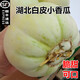 湖北白皮小香瓜宜昌果園直發(fā)甜瓜老品種兒時(shí)的味道脆甜可口水果 10斤（宜昌直發(fā)） 【脆甜多汁】