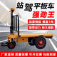 睿峰機(jī)械電動(dòng)平板車搬運(yùn)車小型助力拉貨小推車廠庫周轉(zhuǎn)車電動(dòng)手推車板車 【電動(dòng)平板車】-定金