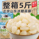 正宗冰糖蒜瓣5斤裝冰糖蒜甜蒜泡大蒜農(nóng)家自制下飯菜泡菜酸甜大蒜 糖蒜頭500克*1袋