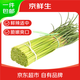 京鮮生山東紅帽蒜苔凈重3斤粗細(xì)適中色澤飽滿蒜薹 源頭直發(fā)