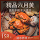 【活蟹】秋湖大王大閘蟹六月黃2兩8只去繩重現(xiàn)貨生鮮水產(chǎn)螃蟹禮盒 買4發(fā)8【肥美鮮甜公母蟹】2兩