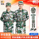 耐典軍訓服套裝男女夏季軍訓迷彩吸汗透氣T恤初高中大學生迷彩服全套