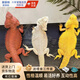 鬃獅蜥蜴寵物活體柑橘黃色紅色系超白zero小幼苗成體亞成溫順乖巧 普通紅系黃系原色隨機發(fā)