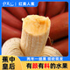 紅美人紅美人香蕉5斤 源自福建新鮮現(xiàn)摘火龍焦水果芭蕉小米蕉紅香焦整箱 精選5斤裝 稀有紅美人香蕉