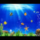 魚缸背景貼紙5d高清畫立體畫海底世界3d水族箱造景裝飾壁紙自粘紙 01.海洋小魚 寬40cm-高30cm【送刮板】