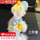 星舵狗狗衣服牽引繩小型犬寵物胸背帶馬爾濟斯比熊約克夏遛狗繩子春秋 小黃鴨三件套S(3-5斤)