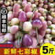 辰實(shí)【現(xiàn)摘發(fā)順豐】七彩椒現(xiàn)摘 廣西新鮮五彩椒 燈籠椒小辣椒 5斤 【新鮮七彩椒 現(xiàn)摘現(xiàn)發(fā)】推薦