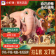 小燈塔【小燈塔】461集英語啟蒙動(dòng)畫片動(dòng)物王國大冒險(xiǎn)兒童英語磨耳朵 461集英語啟蒙動(dòng)畫【高清正版】