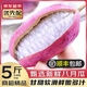 優(yōu)味集新鮮八月瓜貴州當季稀有生鮮孕婦水果野香蕉八月炸鮮果整箱 凈重3斤精選裝（大果120-180g）