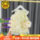 G.DUCKKIDS童裝女童夏裝套裝兒童衣服女寶寶夏季25新款小清新吊帶上衣兩件套 雛菊黃色+包包 100 尺碼2~3歲【 90-100cm】
