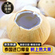 京地達泰國牛奶椰皇 4個單果480g+ 凈重3.8椰子肉新鮮水果源頭直發(fā)包郵
