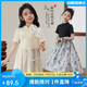 LUSON陳大豬女童國風(fēng)連衣裙2025夏季新款兒童黑白水墨畫新中式盤扣裙子