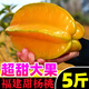 福建漳州甜楊桃新鮮水果5斤應(yīng)當(dāng)季楊揚(yáng)洋陽桃特大果樹上熟整箱5斤 【2個】試吃裝，送酸梅粉
