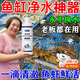 睿凝魚缸水質(zhì)凈化劑魚缸去黃水去腥臭魚缸凈水劑養(yǎng)魚專用免換水除藻苔 魚缸水渾濁專用清水劑凈水劑【550ml】 京倉(cāng)發(fā)貨【今/次日達(dá)】