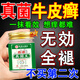 香港大藥房銀屑病牛皮癬真菌王膏藥真菌止癢抑菌皮膚專用頑固皮膚蘚瘙癢進(jìn)口 香港正品真菌王【一盒 頑固牛皮癬真菌王香港大藥房京東