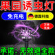 燈為果園農用誘蟲(chóng)燈戶(hù)外黑光滅蟲(chóng)燈太陽(yáng)能智能光控蔬菜大棚茶園滅蟲(chóng)燈 【高效電擊滅蚊燈】壺形款