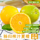 秭歸臍橙夏橙榨汁橙 湖北特產(chǎn)時(shí)令生鮮橙子孕婦寶寶水果手剝鮮橙整箱團(tuán)購(gòu) 凈重5斤大果【65-70mm 榨汁】