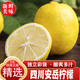 良蚨鮮安岳黃檸檬新鮮當(dāng)季水果青皮黃皮檸檬檸檬尤力克 2斤小果【50-70g】花袋