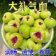 【常吃子宮好】新疆特產(chǎn)2024新貨無(wú)花果風(fēng)干泡水煲湯煮粥即食干果 【精選無(wú)花果干250g*2袋】
