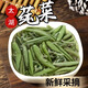 蘇州太湖莼菜袋裝新鮮火鍋涼拌燒湯家庭飯店包郵西湖利川馬蹄菜 袋裝328g*1袋（固溶物45%）