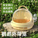 智宙外帶籠鸚鵡小號(hào)鳥(niǎo)外出戶外專用便攜鳥(niǎo)籠牡丹小鳥(niǎo)包手提迷你遛鳥(niǎo)籠 M-中型 鸚鵡外帶鳥(niǎo)籠+水壺【黃】