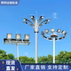 戶(hù)外led球場(chǎng)高桿燈 10米廣場(chǎng)專(zhuān)用燈12米操場(chǎng)照明燈多頭可升降路燈 高桿燈定金-詳細信息咨詢(xún)客服