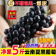黃六爺 云南夏黑葡萄無(wú)籽葡萄5斤新鮮應當季黑加侖提子孕婦水果整箱包郵 【果園采摘 香甜爆汁】 1000g【2串】新鮮超甜 無(wú)籽暢吃