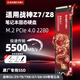 閃立派SSD適用于神舟筆記本專用1T固態(tài)硬盤m.2高速PCie3.0電腦戰(zhàn)神z7/z8/t8/s8等升級NVME 龍版-1TB 筆記本高速固態(tài)硬盤 5200M/S