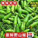 植果優(yōu)廣西野山椒5斤特辣農(nóng)家青椒指天椒朝天椒泡椒小米辣椒新鮮10 5斤