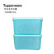 特百惠（Tupperware）新冷凍保鮮盒2.5升雪影款冷藏冷凍兩用大型保鮮盒 2.5升雪影冷凍2件套全藍色