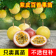 君揚百香果苗廣西欽蜜9號黃金百香果樹(shù)苗嫁接苗黃金紫皮臺農陽(yáng)臺盆栽 紫皮百香果【酸甜可口】 嫁接苗一棵【15-20cm高】5-6個(gè)月結果