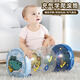康百雀1-3歲嬰兒寶寶學(xué)爬玩具男女孩鈴鐺引導爬行充氣滾筒早教生日禮物