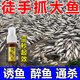 醉魚(yú)藥特效暈魚(yú)藥魚(yú)用麻醉專(zhuān)用江河野釣魚(yú)塘清塘魚(yú)藥一塘清醉魚(yú)靈 單瓶裝【安全無(wú)毒】