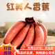 金嬸園福建紅美人香蕉 新鮮紅皮香蕉軟糯土樓紅皮蕉 1斤產(chǎn)地直發(fā)服務(wù)（無(wú)實(shí)物）