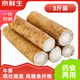 京鮮生 鮮牛蒡 凈重3斤 60-80cm  源頭直發(fā)包郵