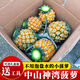 廣東中山神灣小菠蘿脆甜多汁當季小菠蘿鮮果現(xiàn)摘高山種植鳳梨 3斤（實惠裝）網(wǎng)套+快遞箱