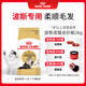 皇家貓糧 波斯成貓糧 P30 通用糧 12月以上 2KG