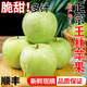 順豐正宗山東王林蘋(píng)果5斤當季現摘脆甜雀斑青蘋(píng)果明月青森丑萍果L 5斤【順豐現摘】