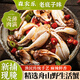 森農(nóng)樂麻辣蟹鉗即食醉蟹生腌海鮮熟食罐裝大蟹腳螃蟹腿寧波特產(chǎn)撈汁生鮮 450g【新捕活蟹現(xiàn)做】
