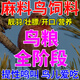 麻料鳥專用糧營(yíng)養(yǎng)通用提性壯膘靚羽開口玉鳥金絲雀文鳥朱雀鳥糧食 500g 1袋