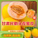 產(chǎn)地直發(fā)頭茬甘肅民勤蜜瓜黃河蜜瓜新鮮現摘水果甜瓜當季蜜瓜 精品蜜瓜凈重4.2-5斤[2個(gè)裝]