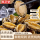 典品堂大連底播即食海參新鮮遼刺參海鮮水產(chǎn)禮盒廠(chǎng)家直發(fā)禮盒 1斤純鮑魚(yú)肉（12-16只/斤） 1斤