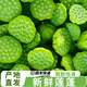 京鮮鯤【順豐速運】新鮮蓮蓬太空水果當季嫩湖南蓮蓬生吃鮮蓮子現(xiàn)摘現(xiàn)發(fā) 凈重3斤|順豐速運（5-6成熟）