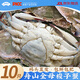 【冷凍】昌鮮園舟山全母梭子蟹鮮活冷凍3-4兩/只 10只 25年新蟹源頭直發(fā)包郵