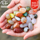 壽禾 雨花石七彩石天然魚(yú)缸花盆造景天然原石鵝卵石 500g雨花石1-2cm