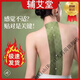 【官方旗艦】輔艾堂蘄艾草本龍骨鳳脈貼龍骨艾灸艾草貼腰頸肩頸膝蓋溫灸抖音款 5盒 胖東來線上超市京自東營官方旗艦店
