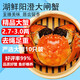 【活蟹】湖鮮陽澄 大閘蟹 去繩足重 2.7-3.0兩 10只 鮮活六月黃現(xiàn)貨超大螃蟹水產(chǎn)禮盒裝