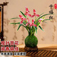 劉閣蘭花蘭花建蘭千禧紅金邊好養(yǎng)濃香花卉盆栽 3苗帶苔蘚球配底座源頭直發(fā)