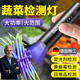 德國品牌紫光燈鑒定蔬菜檢藍(lán)礬藍(lán)光波爾多液熒光劑紫外線農(nóng)藥殘留 【標(biāo)準(zhǔn)款】10W高光 蔬菜高效檢測-USB充電